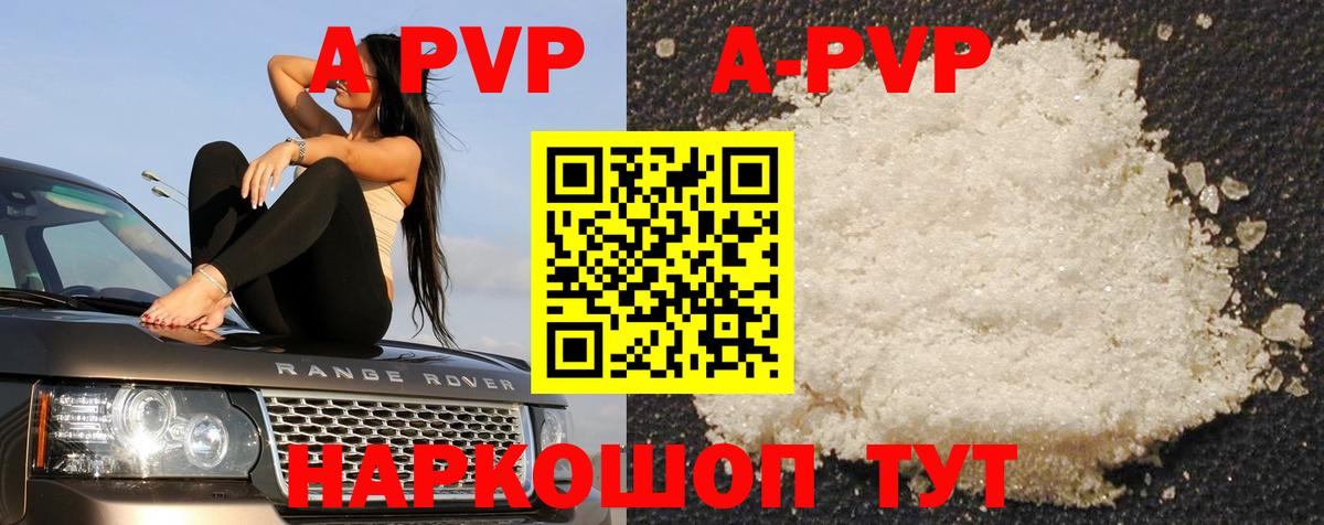 Alfa_PVP СК Луховицы