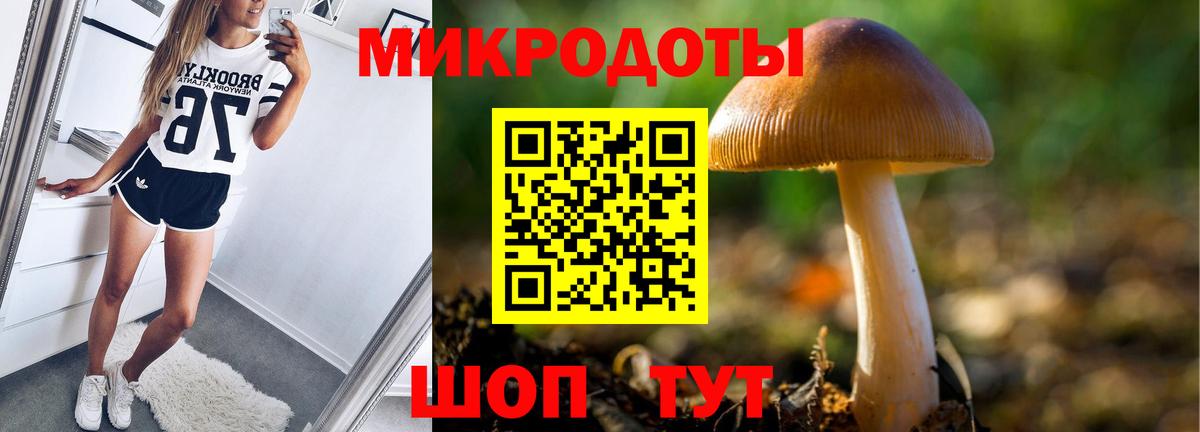 Псилоцибиновые грибы MAGIC MUSHROOMS Луховицы